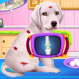Puppy Daycare Salon