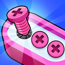 3D Screw Nut Puzzle